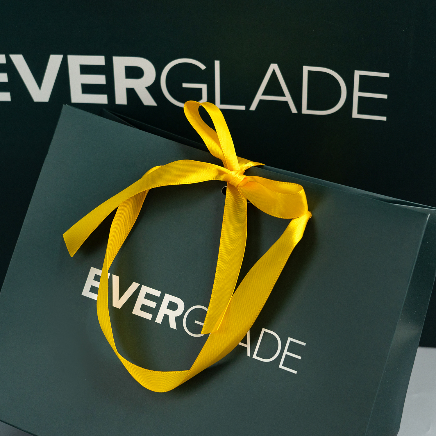 Personalized logo custom paper bag for clothes