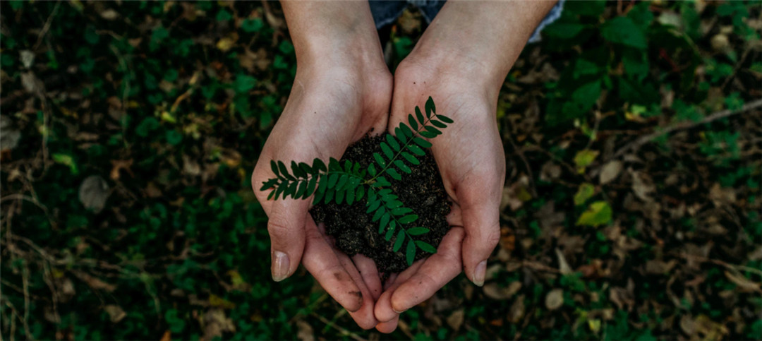 Sustainable development is the trending of the world. Only when we insist in green production, can we have an everlasting bright future. (2)