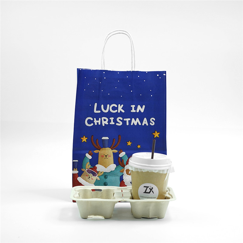 Shopping paper bag take away paper bag (5)