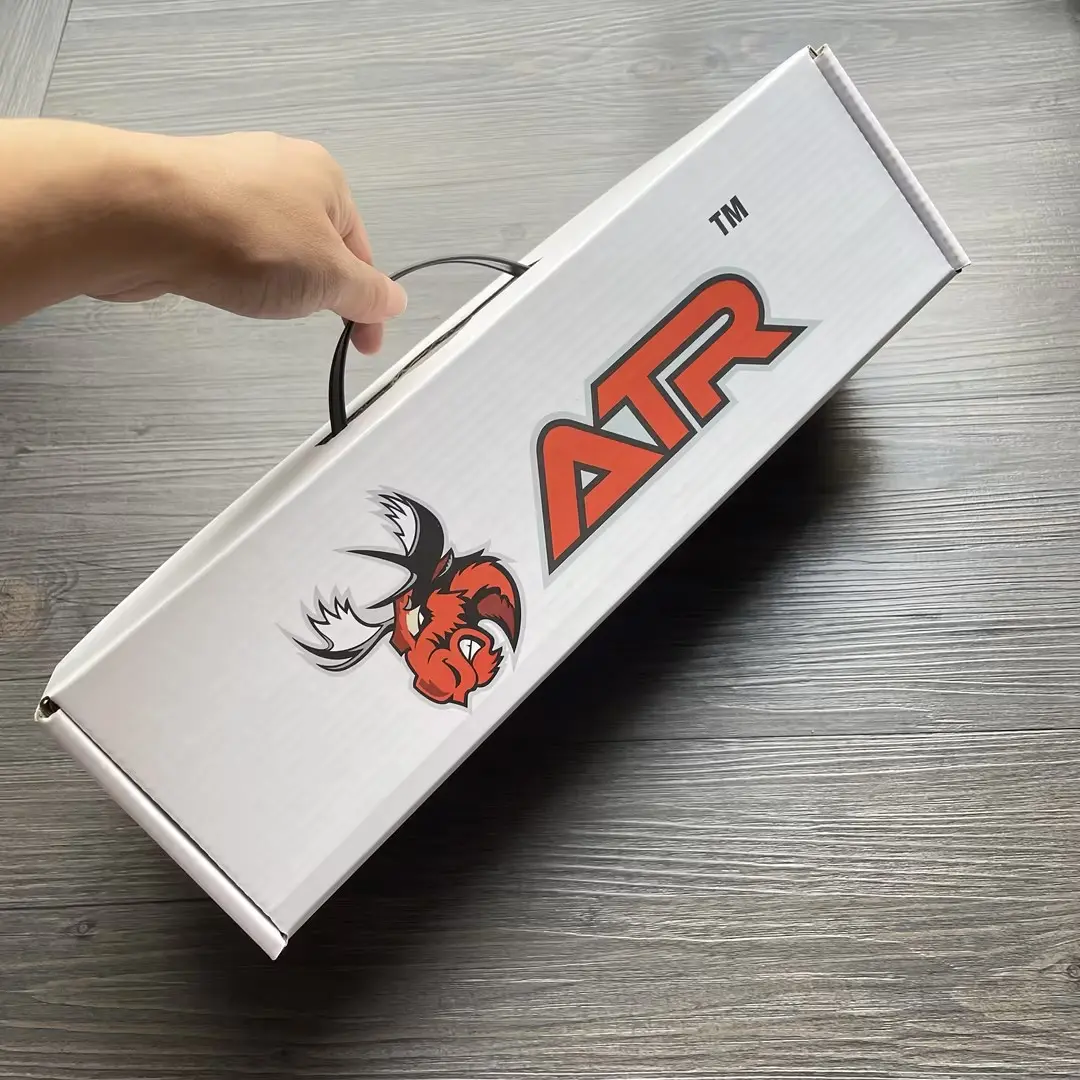 corrugated box with handle (2)