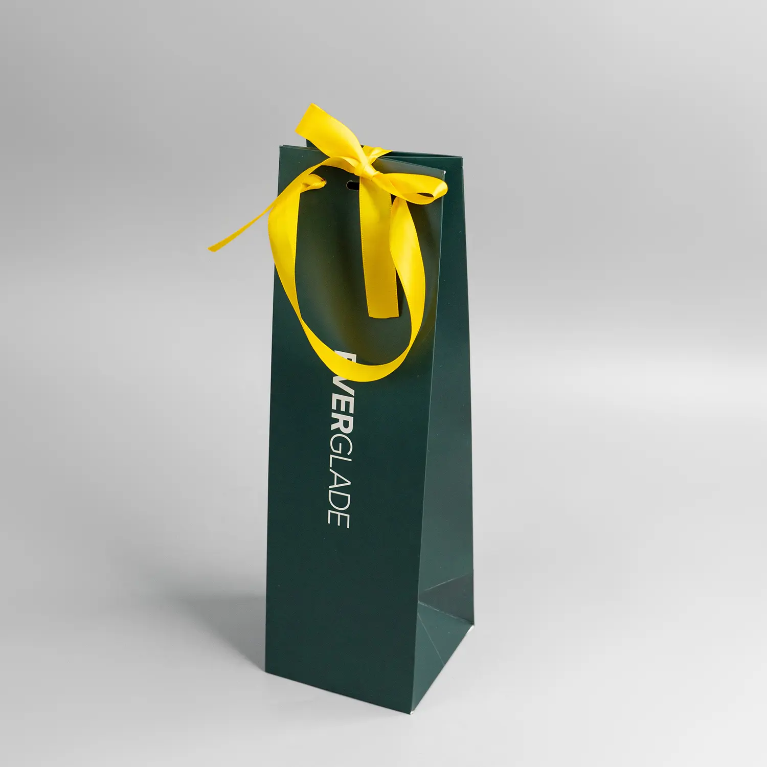 Personalized logo custom paper bag for clothes